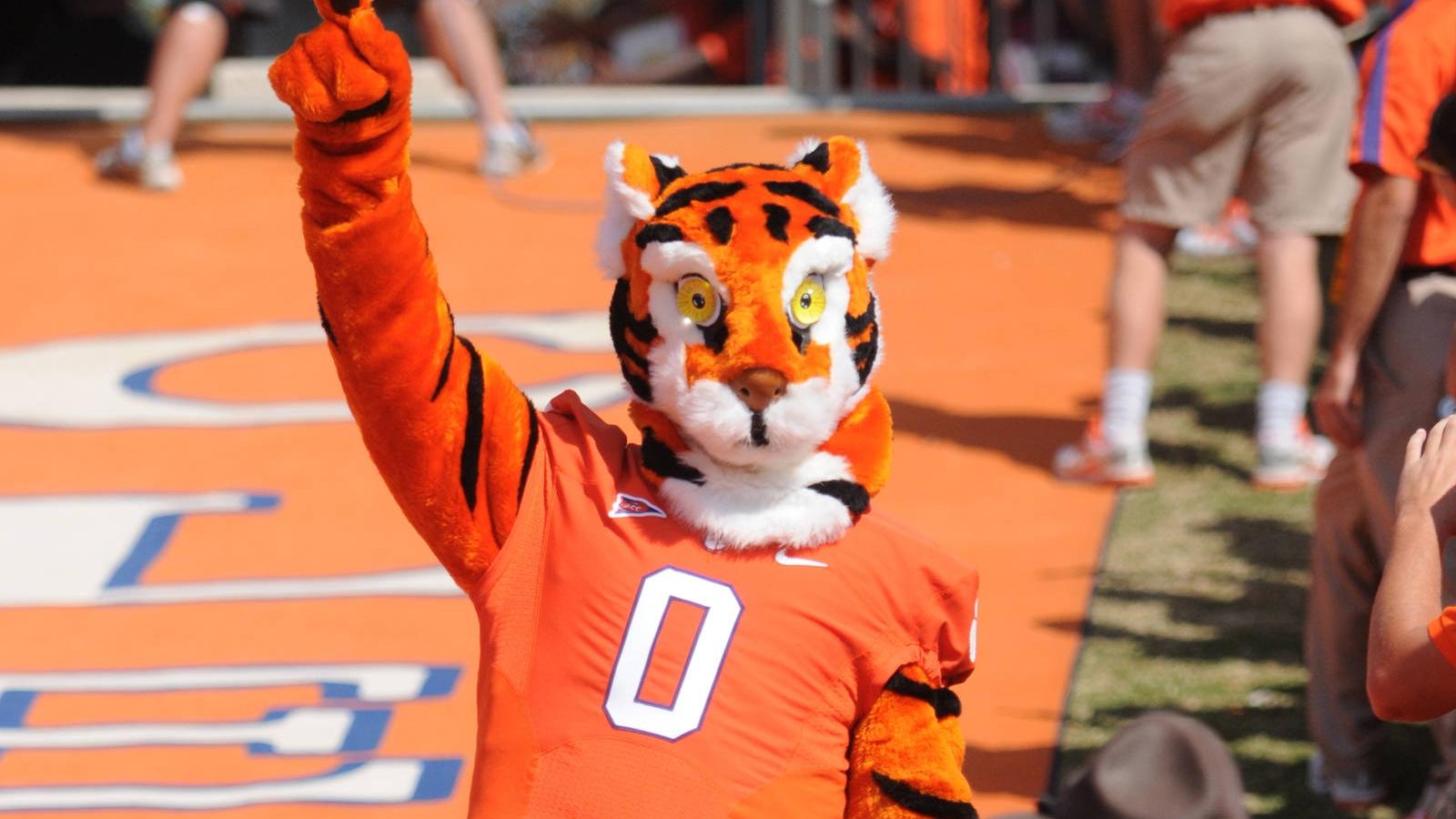The Story Behind Clemson University's Mascot: Meet the Clemson Tiger
