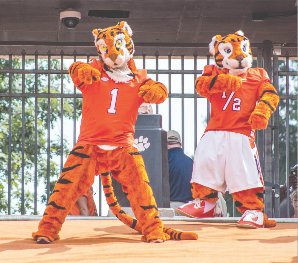 The Story Behind Clemson University's Mascot: Meet the Clemson Tiger