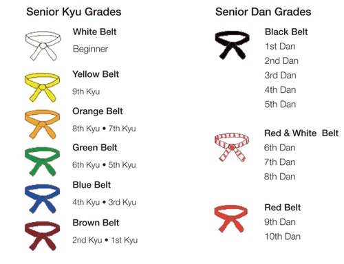 Judo ranks nyt explained: Heres what you need to know about the belts!